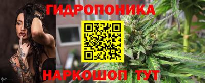 стаф Заволжье