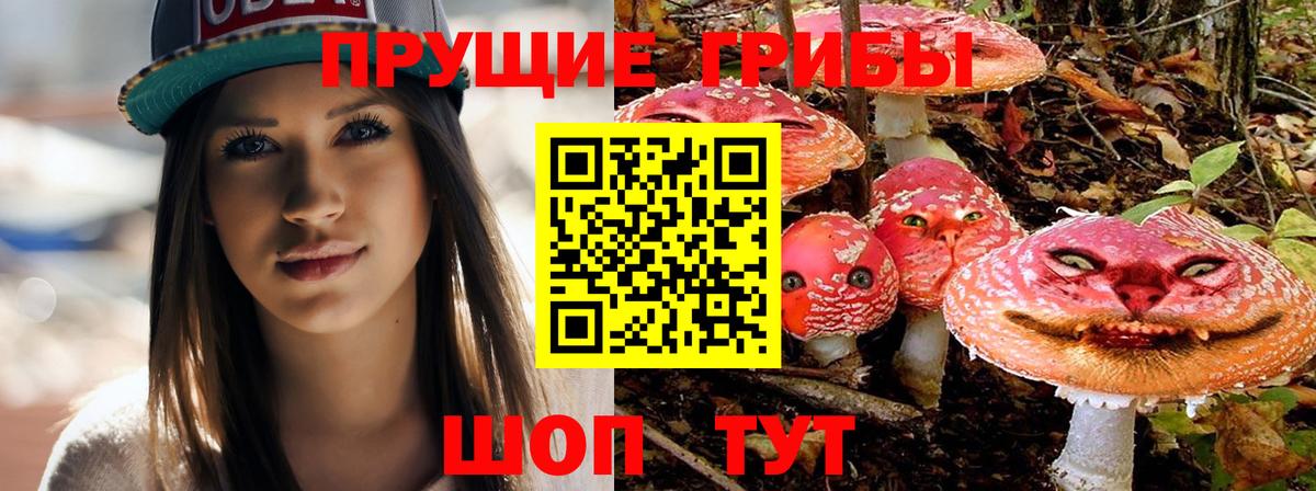 Галлюциногенные грибы Cubensis  закладки  Псилоцибиновые грибы мицелий  Вятские Поляны 