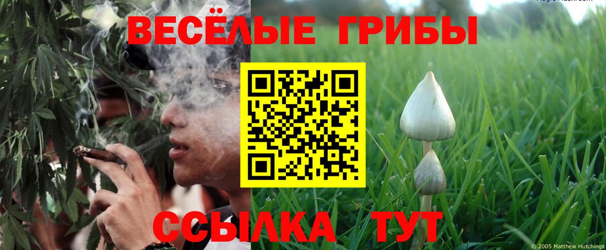 Псилоцибиновые грибы GOLDEN TEACHER Вятские Поляны