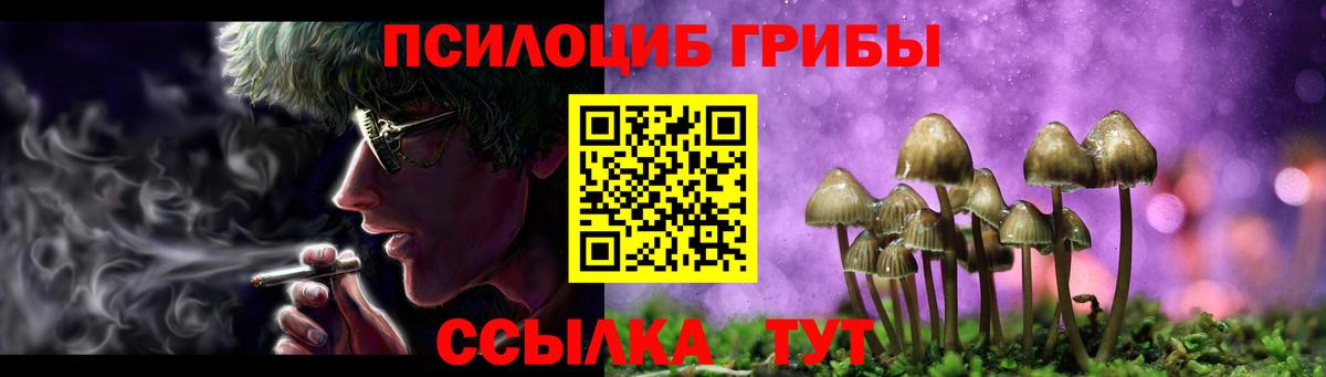 Вятские Поляны  Галлюциногенные грибы мицелий  Галлюциногенные грибы Cubensis  Вход с VPN 